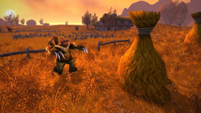 WoW Classic details
